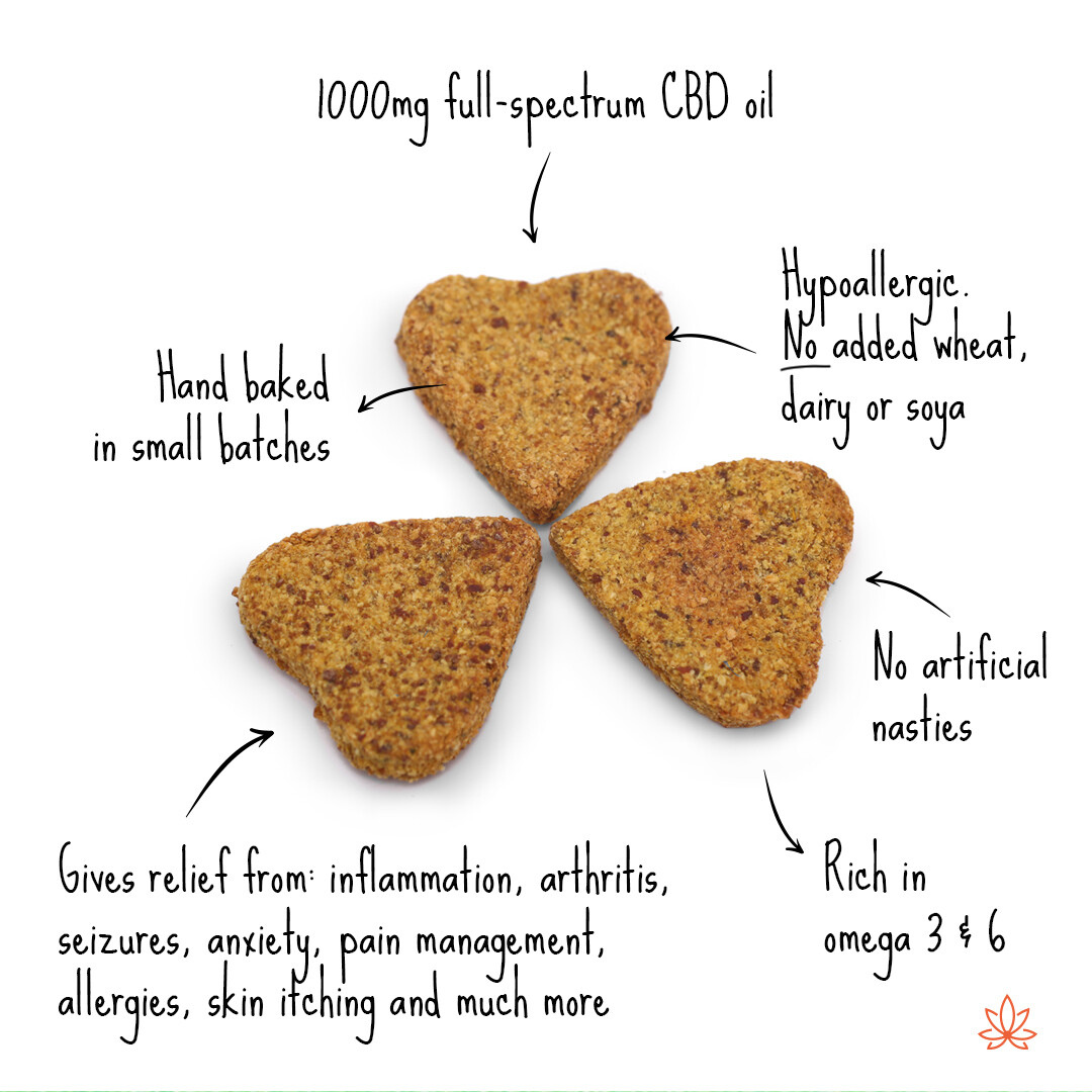 Gizzls Healthy Fishy CBD Cat Treats