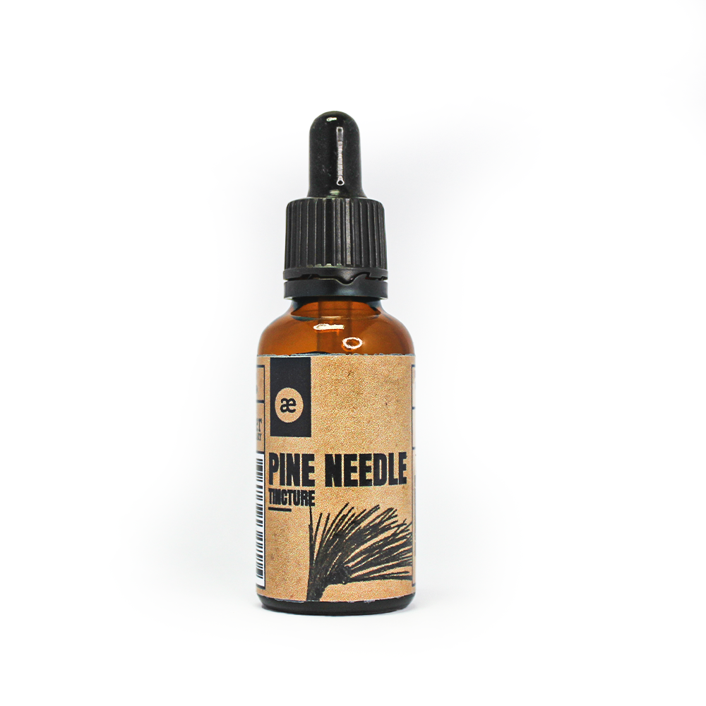 Pine Needle - 30ml