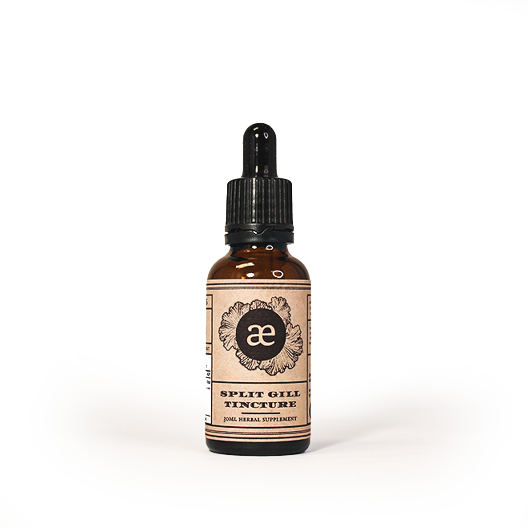 Split Gill Tincture 30ml